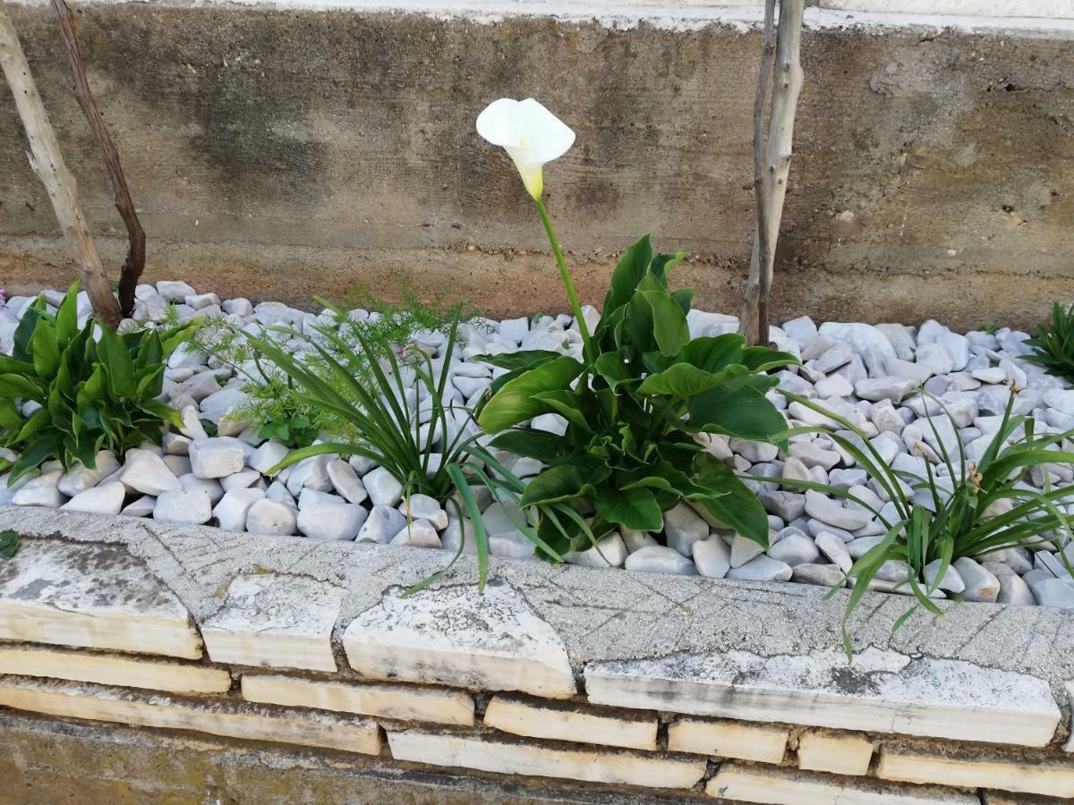 Apartman 1 Zadar Bagian luar foto