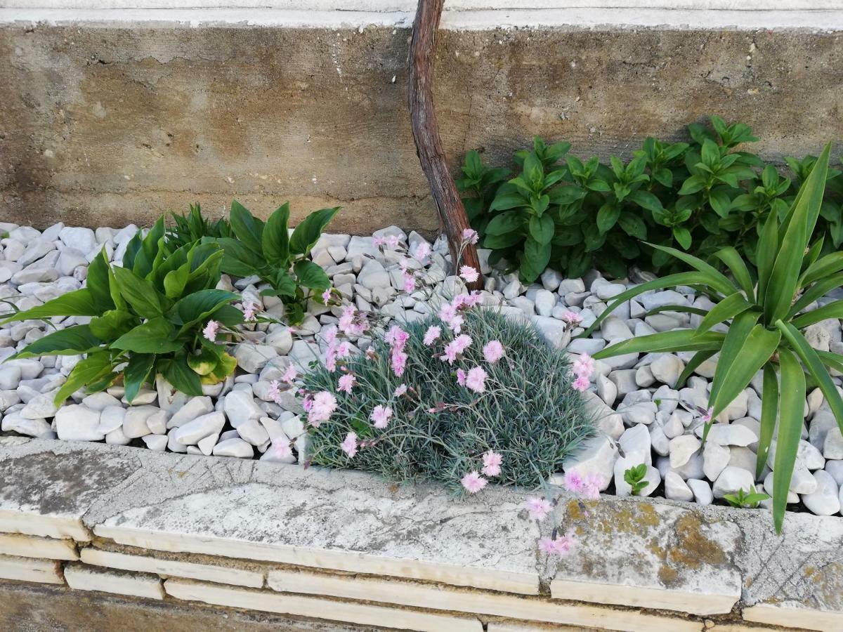 Apartman 1 Zadar Bagian luar foto
